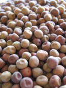 Dundale Peas