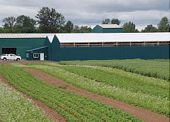 Weaver Seed Farm