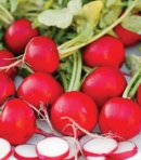 Red Radish