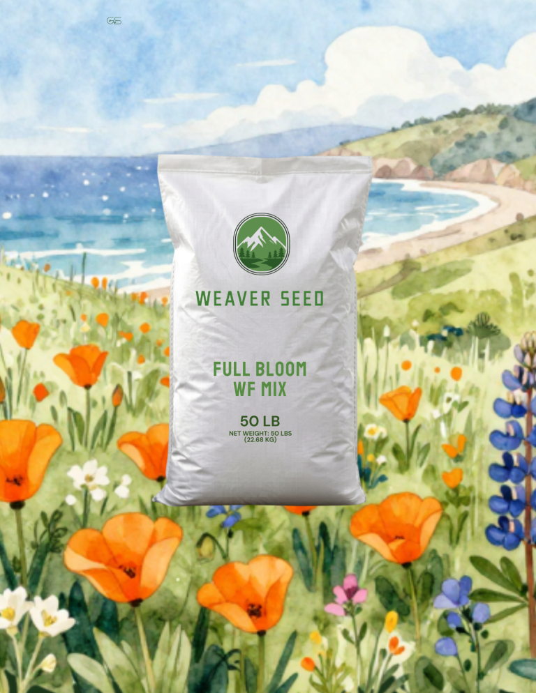 Full Bloom Wildflower Mix