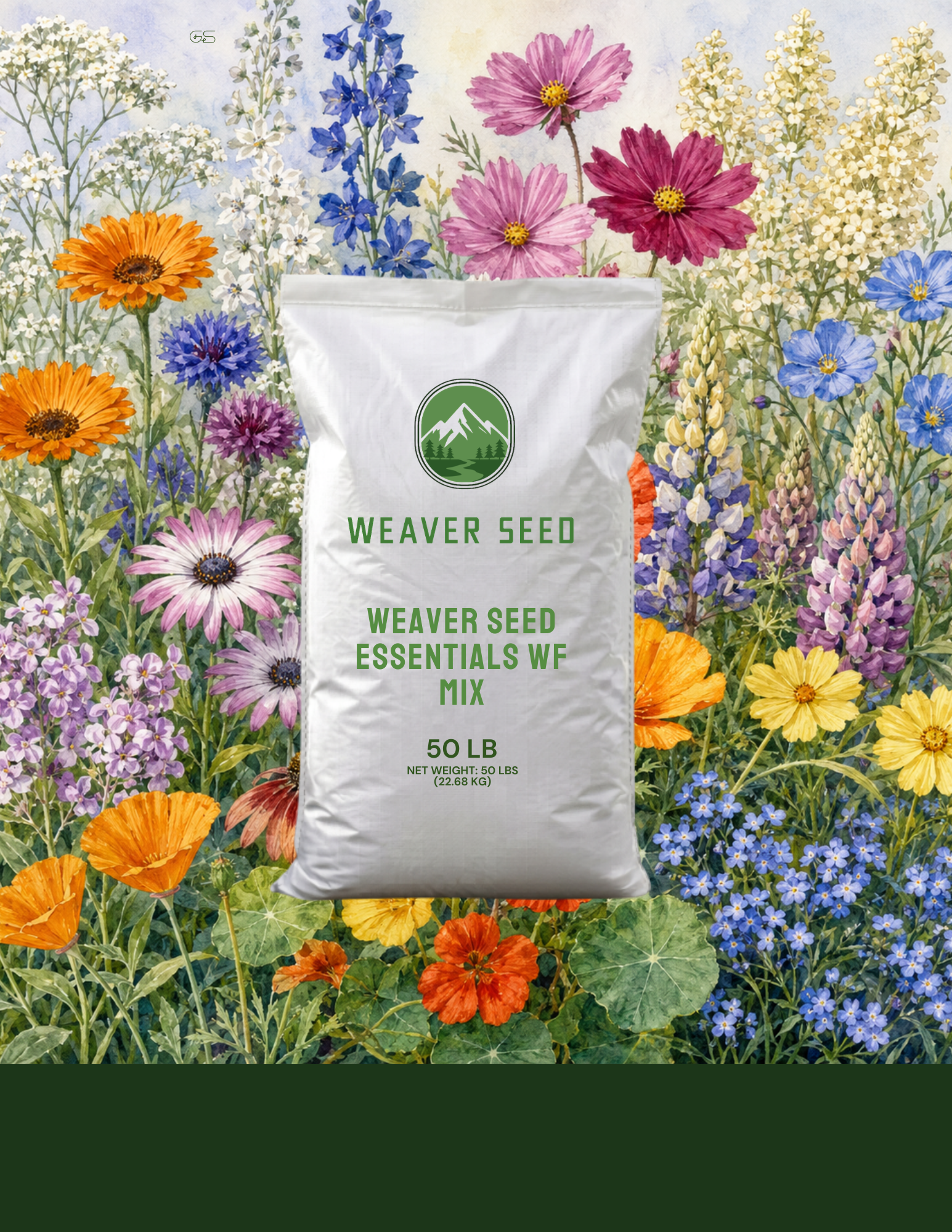 Essential Wildflower Mix with colorful annual and perennial wildflowers