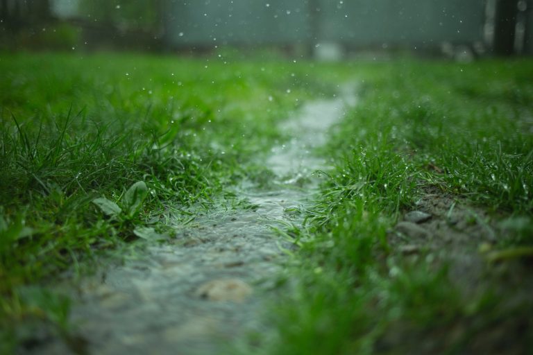 High Rainfall